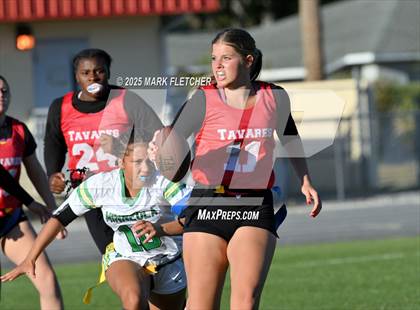 Thumbnail 1 in Lake Minneola @ Tavares photogallery.
