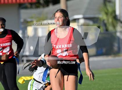 Thumbnail 1 in Lake Minneola @ Tavares photogallery.