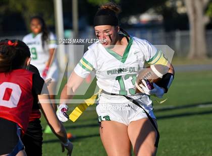 Thumbnail 1 in Lake Minneola @ Tavares photogallery.