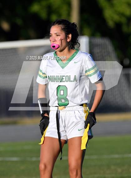 Thumbnail 3 in Lake Minneola @ Tavares photogallery.