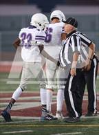 Photo from the gallery "Franklin @ Woodcreek"