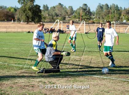 Thumbnail 1 in Oakmont @ Placer photogallery.