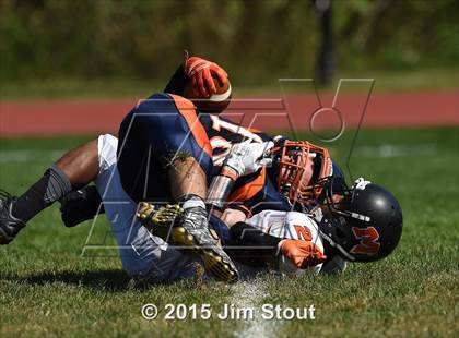 Thumbnail 1 in Mamaroneck @ Horace Greeley photogallery.