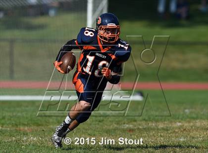 Thumbnail 3 in Mamaroneck @ Horace Greeley photogallery.