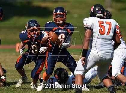 Thumbnail 2 in Mamaroneck @ Horace Greeley photogallery.