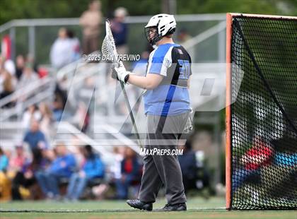 Thumbnail 1 in York @ Grassfield photogallery.