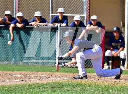 Thumbnail 2 in Milpitas @ Westmont photogallery.