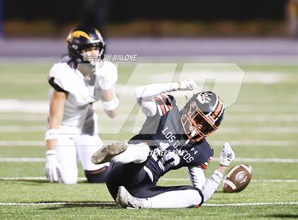 Thumbnail 1 in Wilcox vs. Los Gatos (CIFCCS D1 Championship) photogallery.