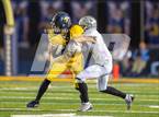 Photo from the gallery "Ponderosa @ Inderkum"