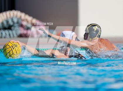Thumbnail 2 in Sonora @ Sunny Hills photogallery.