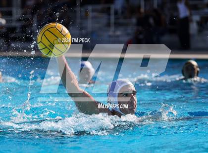 Thumbnail 1 in Sonora @ Sunny Hills photogallery.