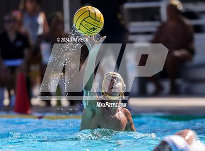 Thumbnail 2 in Sonora @ Sunny Hills photogallery.