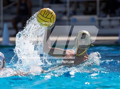 Thumbnail 1 in Sonora @ Sunny Hills photogallery.