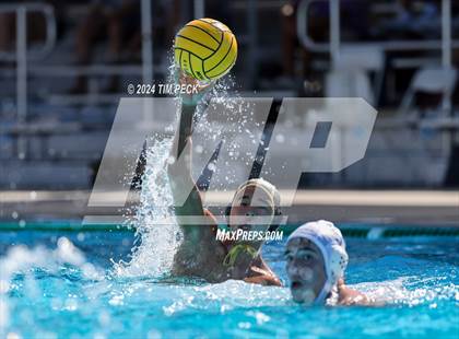Thumbnail 3 in Sonora @ Sunny Hills photogallery.