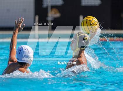 Thumbnail 1 in Sonora @ Sunny Hills photogallery.