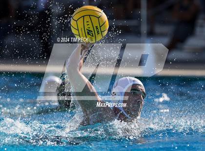 Thumbnail 1 in Sonora @ Sunny Hills photogallery.