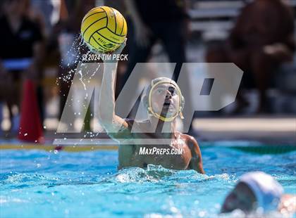 Thumbnail 1 in Sonora @ Sunny Hills photogallery.