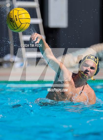 Thumbnail 1 in Sonora @ Sunny Hills photogallery.