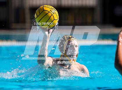 Thumbnail 3 in Sonora @ Sunny Hills photogallery.