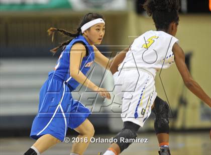 Thumbnail 1 in Crawford vs Grossmont (CIF SDS D4 Final) photogallery.