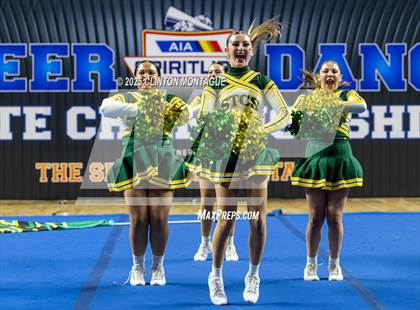 Thumbnail 2 in San Tan Charter - Cheer (AIA Division IV Final) photogallery.