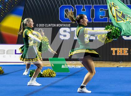 Thumbnail 3 in San Tan Charter - Cheer (AIA Division IV Final) photogallery.