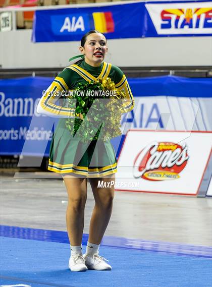 Thumbnail 3 in San Tan Charter - Cheer (AIA Division IV Final) photogallery.