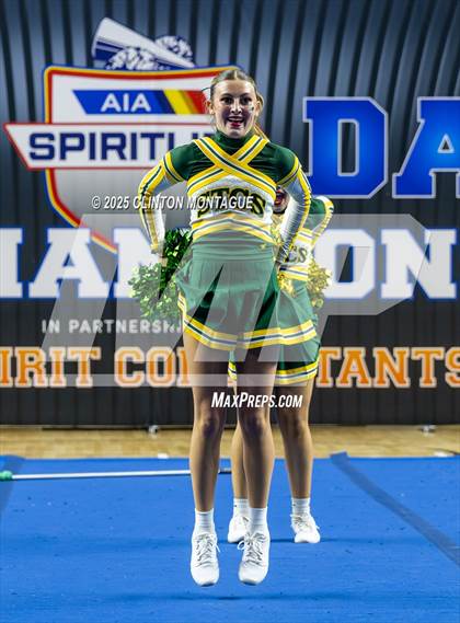 Thumbnail 1 in San Tan Charter - Cheer (AIA Division IV Final) photogallery.