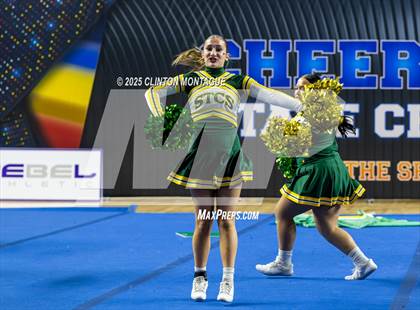 Thumbnail 1 in San Tan Charter - Cheer (AIA Division IV Final) photogallery.