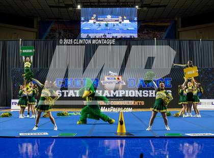 Thumbnail 3 in San Tan Charter - Cheer (AIA Division IV Final) photogallery.