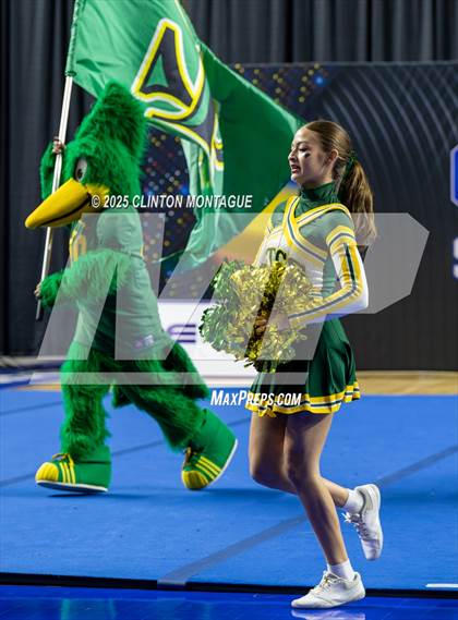 Thumbnail 3 in San Tan Charter - Cheer (AIA Division IV Final) photogallery.