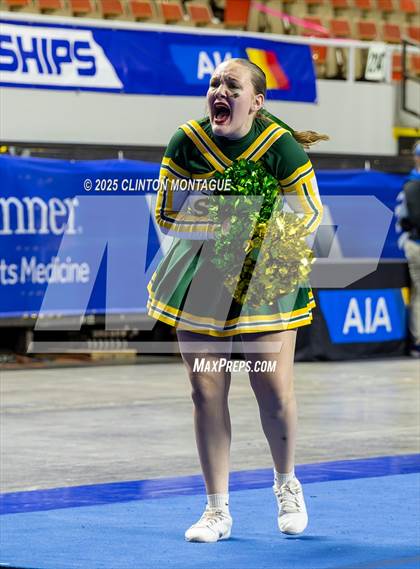 Thumbnail 1 in San Tan Charter - Cheer (AIA Division IV Final) photogallery.