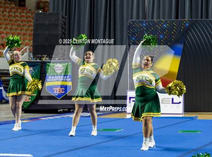 Thumbnail 1 in San Tan Charter - Cheer (AIA Division IV Final) photogallery.