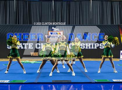 Thumbnail 1 in San Tan Charter - Cheer (AIA Division IV Final) photogallery.