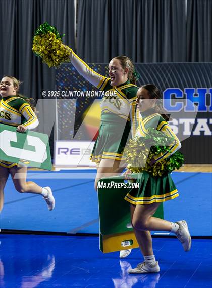 Thumbnail 1 in San Tan Charter - Cheer (AIA Division IV Final) photogallery.