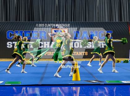 Thumbnail 2 in San Tan Charter - Cheer (AIA Division IV Final) photogallery.