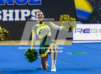 Thumbnail 3 in San Tan Charter - Cheer (AIA Division IV Final) photogallery.