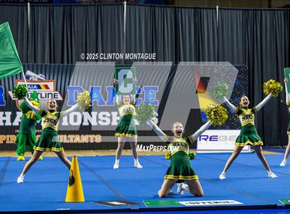 Thumbnail 2 in San Tan Charter - Cheer (AIA Division IV Final) photogallery.