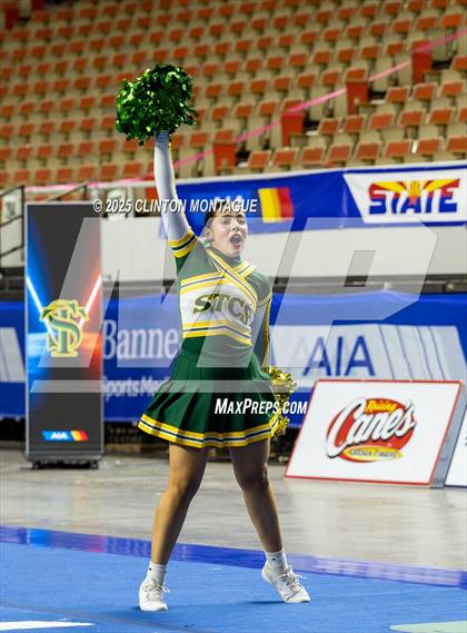 Thumbnail 2 in San Tan Charter - Cheer (AIA Division IV Final) photogallery.