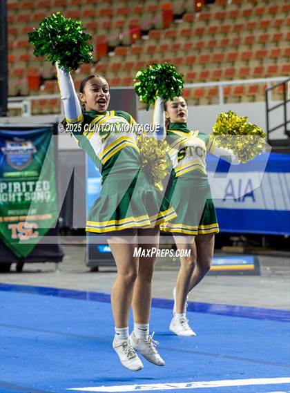 Thumbnail 3 in San Tan Charter - Cheer (AIA Division IV Final) photogallery.