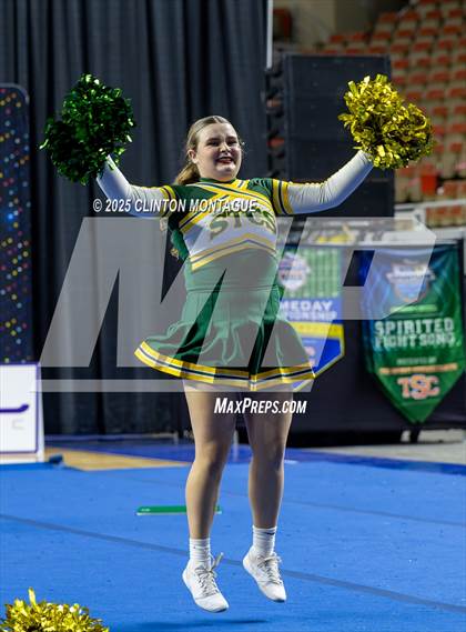 Thumbnail 2 in San Tan Charter - Cheer (AIA Division IV Final) photogallery.
