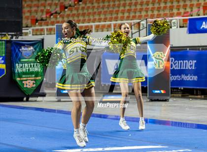 Thumbnail 2 in San Tan Charter - Cheer (AIA Division IV Final) photogallery.