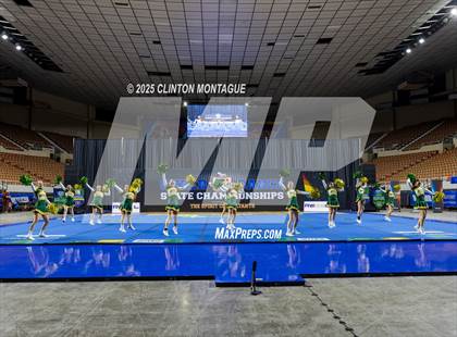 Thumbnail 3 in San Tan Charter - Cheer (AIA Division IV Final) photogallery.