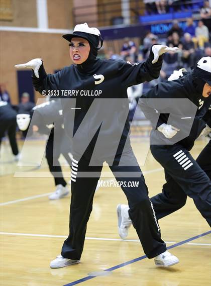 Thumbnail 3 in Layton Lancelles photogallery.