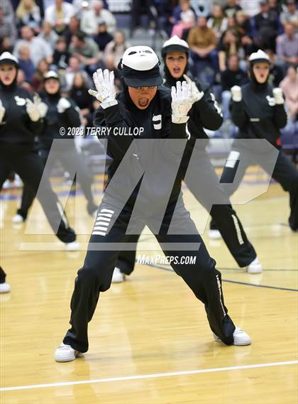 Thumbnail 1 in Layton Lancelles photogallery.