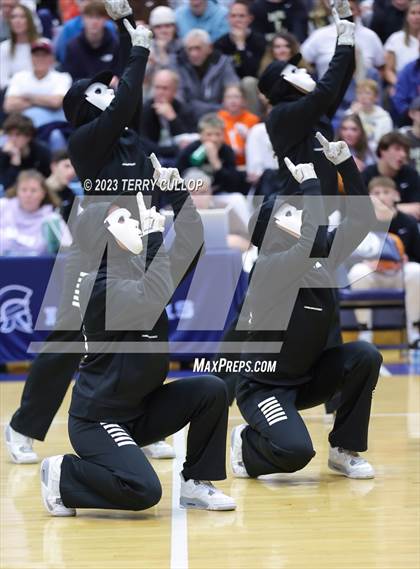 Thumbnail 3 in Layton Lancelles photogallery.