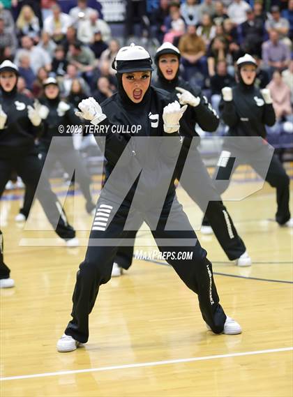 Thumbnail 2 in Layton Lancelles photogallery.