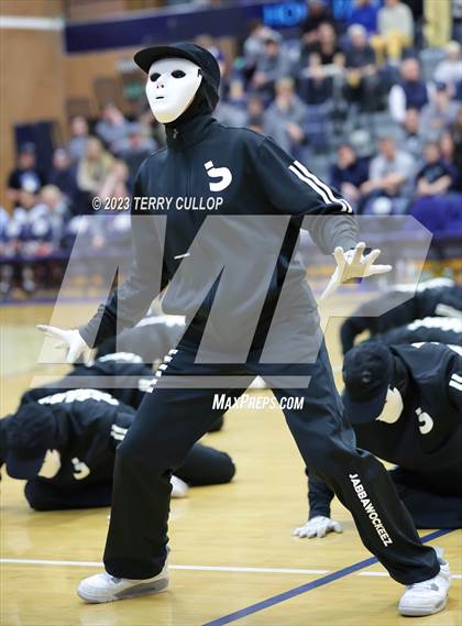 Thumbnail 3 in Layton Lancelles photogallery.