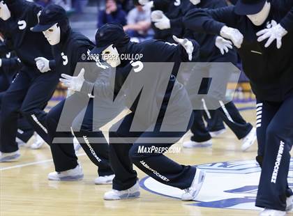 Thumbnail 3 in Layton Lancelles photogallery.