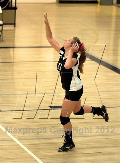 Thumbnail 1 in Pomona @ Ralston Valley photogallery.